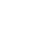 Risorsa 28Fast Pizza